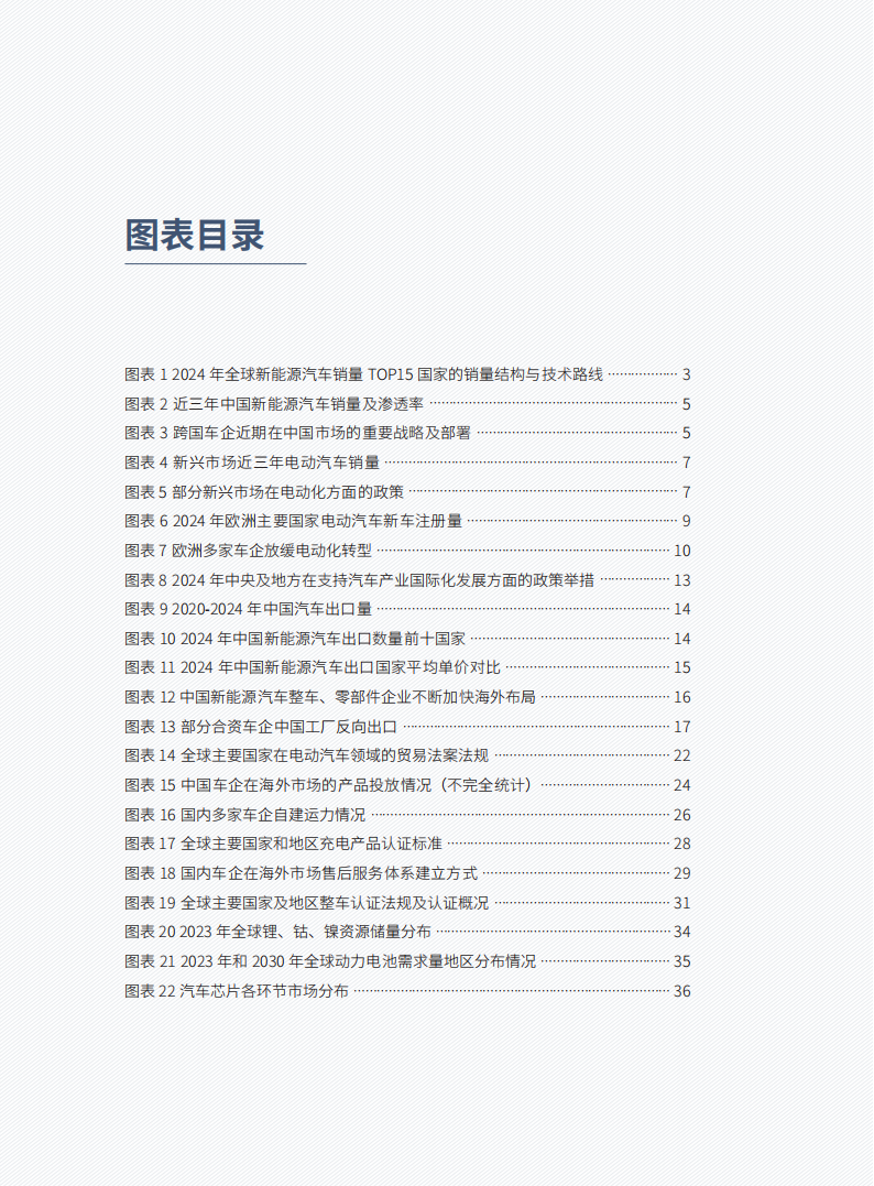 2025年汽车产业高水平国际化发展的路径与保障体系报告,汽车,汽车,第7张