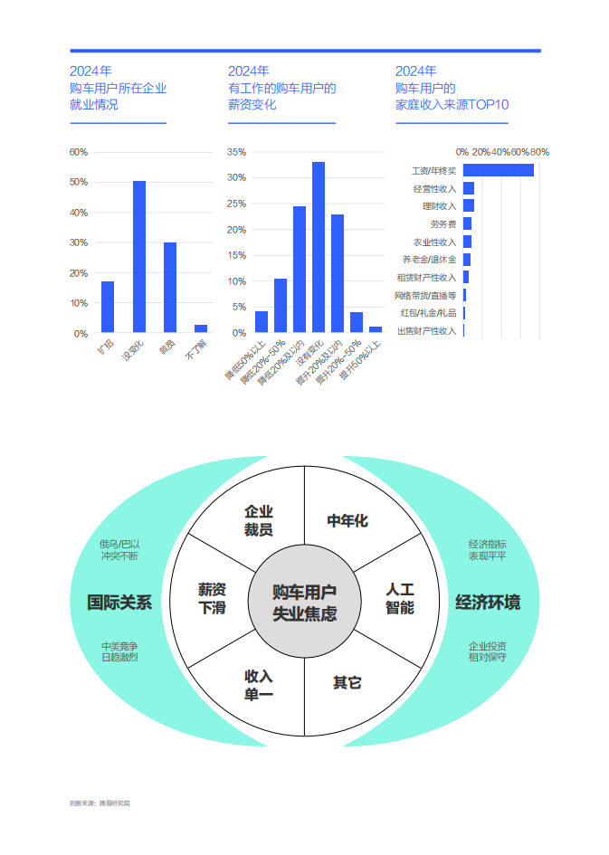 失业焦虑就像中国车市的“定时炸弹”：中国购车家庭收支洞察报告之就业篇（2025版）,汽车,汽车,第8张