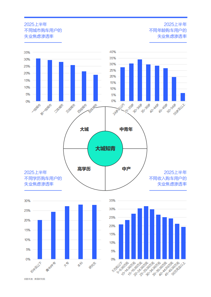失业焦虑就像中国车市的“定时炸弹”：中国购车家庭收支洞察报告之就业篇（2025版）,汽车,汽车,第10张