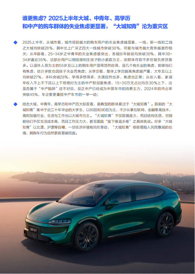 失业焦虑就像中国车市的“定时炸弹”：中国购车家庭收支洞察报告之就业篇（2025版）,汽车,汽车,第9张