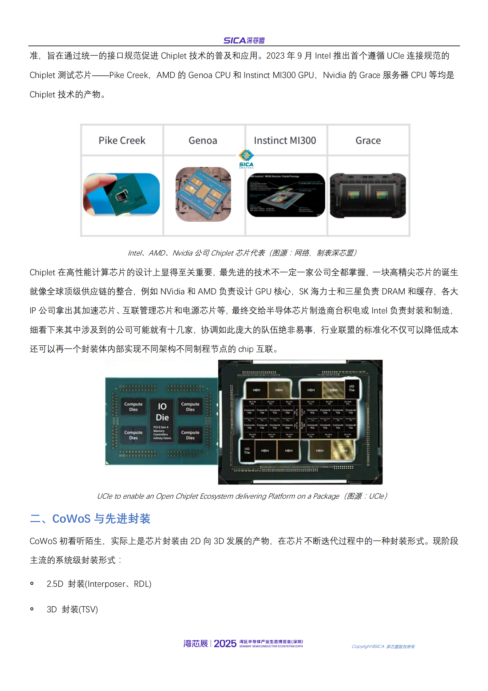 2025年年国产AI芯片和高性能处理器厂商排名和行业趋势报告,国产,AI,芯片,国产,AI,芯片,第4张