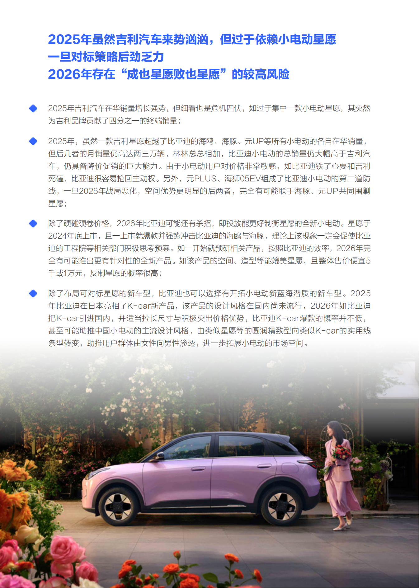 比亚迪市场竞争力分析报告 (2026版),比亚迪,比亚迪,第7张 比亚迪市场竞争力分析报告 (2026版),比亚迪,比亚迪,第7张